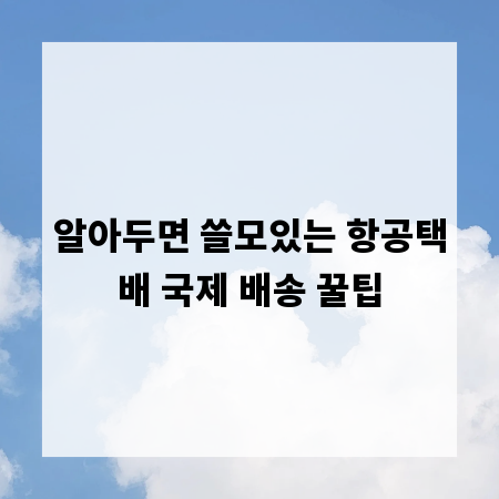 알아두면 쓸모있는 항공택배 국제 배송 꿀팁
