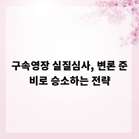 구속영장 실질심사, 변론 준비로 승소하는 전략