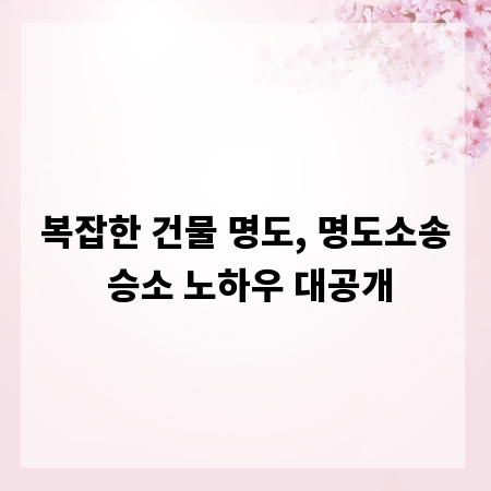 복잡한 건물 명도, 명도소송 승소 노하우 대공개