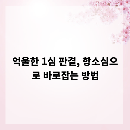 억울한 1심 판결, 항소심으로 바로잡는 방법