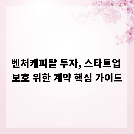 벤처캐피탈 투자, 스타트업 보호 위한 계약 핵심 가이드