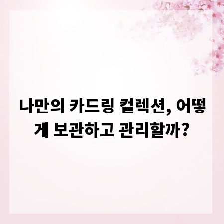 나만의 카드링 컬렉션, 어떻게 보관하고 관리할까?