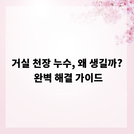 거실 천장 누수, 왜 생길까? 완벽 해결 가이드