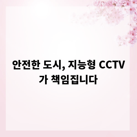 안전한 도시, 지능형 CCTV가 책임집니다