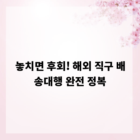 놓치면 후회! 해외 직구 배송대행 완전 정복