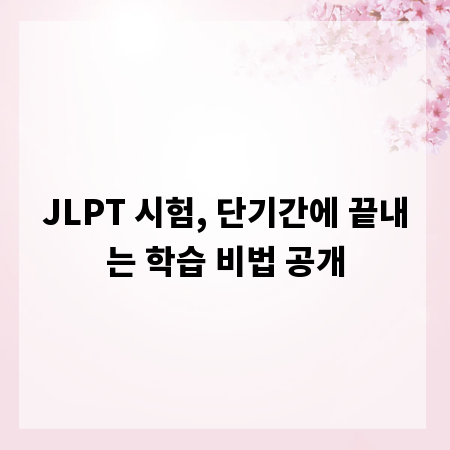 JLPT 시험, 단기간에 끝내는 학습 비법 공개