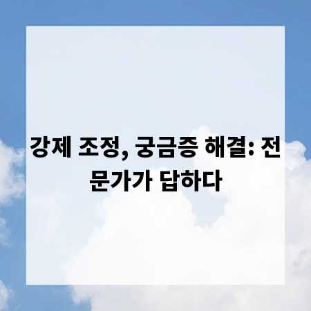 강제 조정, 궁금증 해결: 전문가가 답하다
