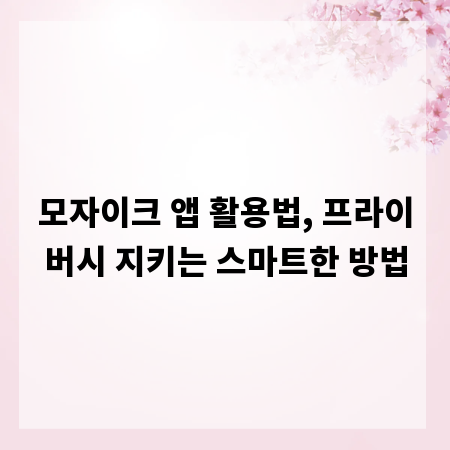 모자이크 앱 활용법, 프라이버시 지키는 스마트한 방법