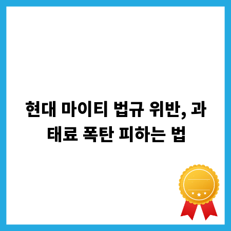 현대 마이티 법규 위반, 과태료 폭탄 피하는 법
