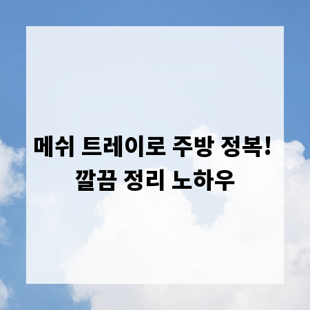 메쉬 트레이로 주방 정복! 깔끔 정리 노하우
