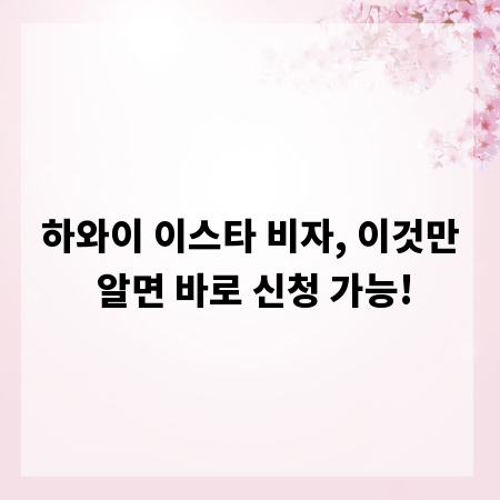 하와이 이스타 비자, 이것만 알면 바로 신청 가능!