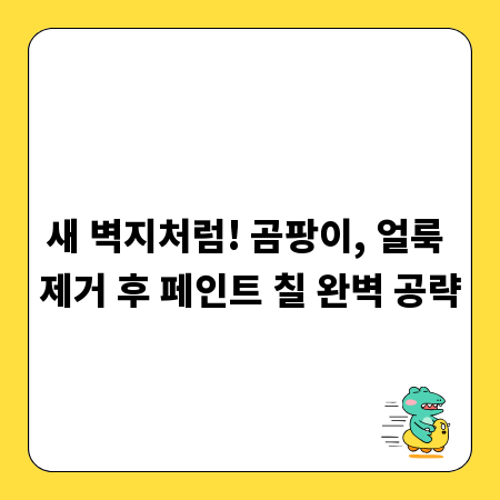 새 벽지처럼! 곰팡이, 얼룩 제거 후 페인트 칠 완벽 공략