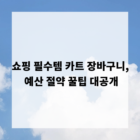 쇼핑 필수템 카트 장바구니, 예산 절약 꿀팁 대공개
