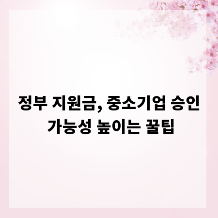 정부 지원금, 중소기업 승인 가능성 높이는 꿀팁