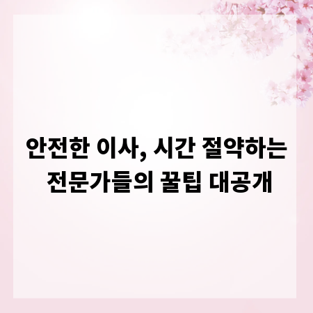 안전한 이사, 시간 절약하는 전문가들의 꿀팁 대공개