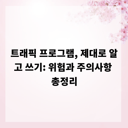 트래픽 프로그램, 제대로 알고 쓰기: 위험과 주의사항 총정리