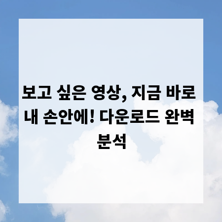 보고 싶은 영상, 지금 바로 내 손안에! 다운로드 완벽 분석