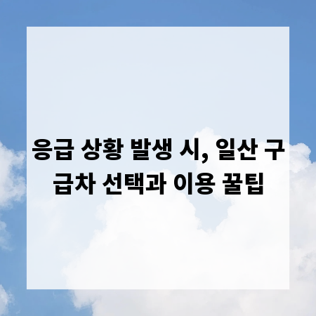 응급 상황 발생 시, 일산 구급차 선택과 이용 꿀팁