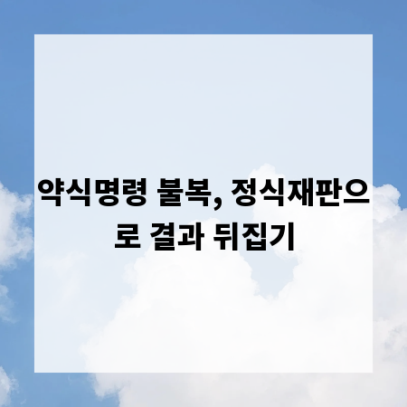 약식명령 불복, 정식재판으로 결과 뒤집기