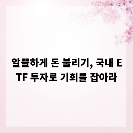 알뜰하게 돈 불리기, 국내 ETF 투자로 기회를 잡아라
