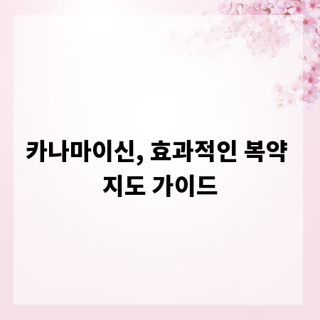카나마이신, 효과적인 복약 지도 가이드