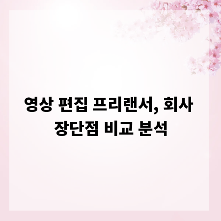 영상 편집 프리랜서, 회사 장단점 비교 분석