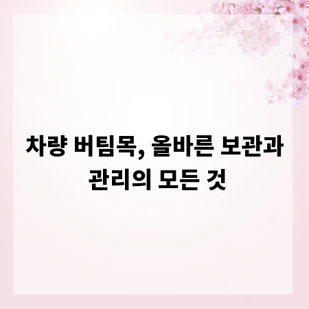 차량 버팀목, 올바른 보관과 관리의 모든 것