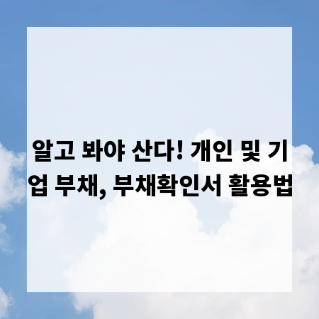 알고 봐야 산다! 개인 및 기업 부채, 부채확인서 활용법