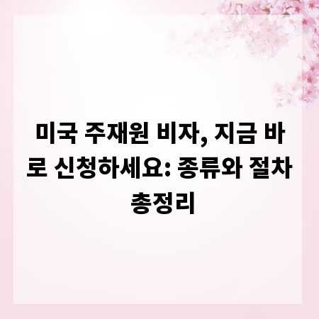 미국 주재원 비자, 지금 바로 신청하세요: 종류와 절차 총정리