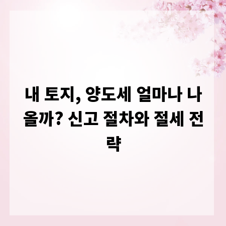 내 토지, 양도세 얼마나 나올까? 신고 절차와 절세 전략