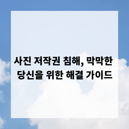 사진 저작권 침해, 막막한 당신을 위한 해결 가이드