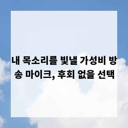 내 목소리를 빛낼 가성비 방송 마이크, 후회 없을 선택