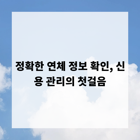 정확한 연체 정보 확인, 신용 관리의 첫걸음