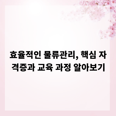 효율적인 물류관리, 핵심 자격증과 교육 과정 알아보기