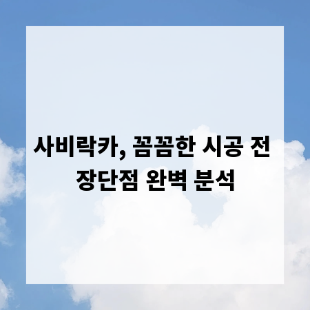 사비락카, 꼼꼼한 시공 전 장단점 완벽 분석