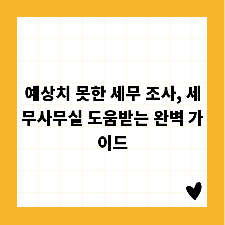 예상치 못한 세무 조사, 세무사무실 도움받는 완벽 가이드