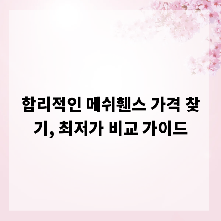 합리적인 메쉬휀스 가격 찾기, 최저가 비교 가이드