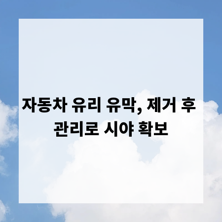 자동차 유리 유막, 제거 후 관리로 시야 확보