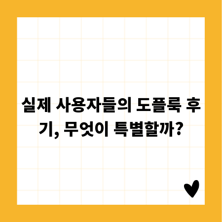 실제 사용자들의 도플룩 후기, 무엇이 특별할까?