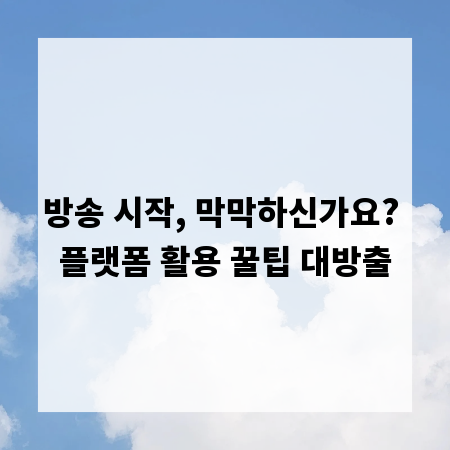 방송 시작, 막막하신가요? 플랫폼 활용 꿀팁 대방출