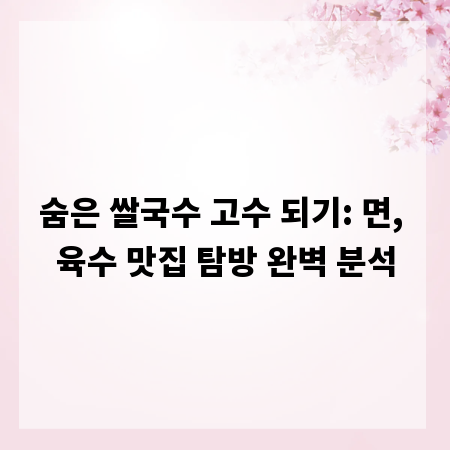 숨은 쌀국수 고수 되기: 면, 육수 맛집 탐방 완벽 분석