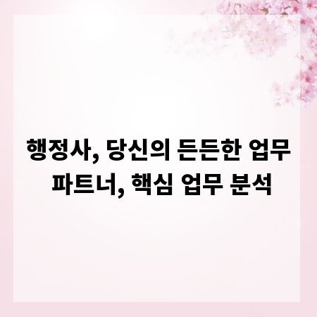행정사, 당신의 든든한 업무 파트너, 핵심 업무 분석