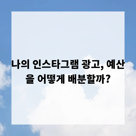 나의 인스타그램 광고, 예산을 어떻게 배분할까?