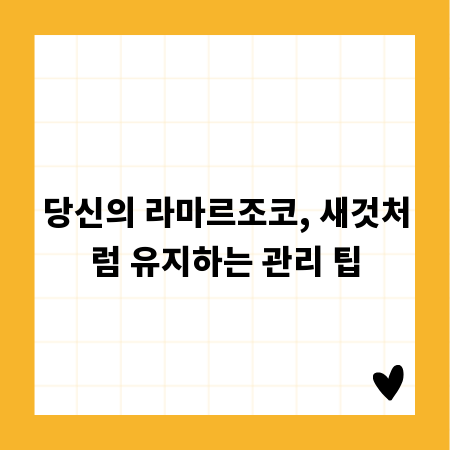 당신의 라마르조코, 새것처럼 유지하는 관리 팁