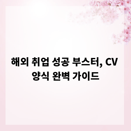 해외 취업 성공 부스터, CV 양식 완벽 가이드