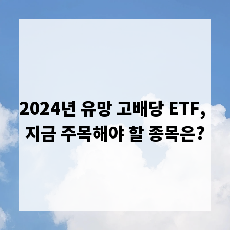 2024년 유망 고배당 ETF, 지금 주목해야 할 종목은?