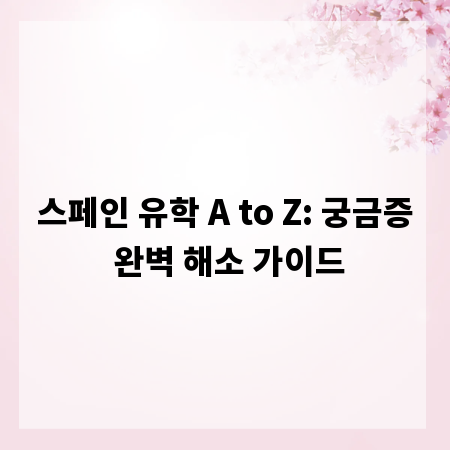 스페인 유학 A to Z: 궁금증 완벽 해소 가이드