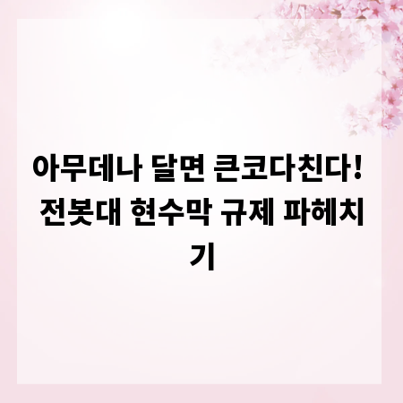 아무데나 달면 큰코다친다! 전봇대 현수막 규제 파헤치기