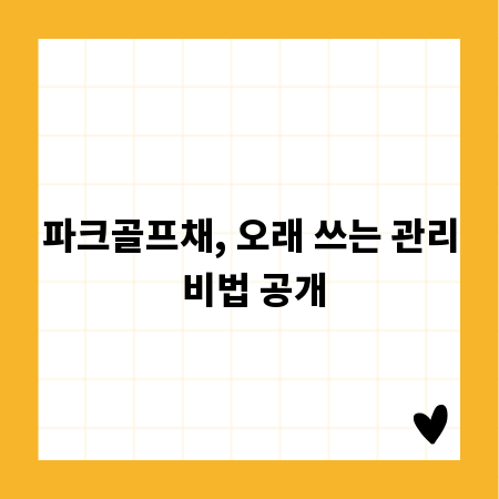 파크골프채, 오래 쓰는 관리 비법 공개