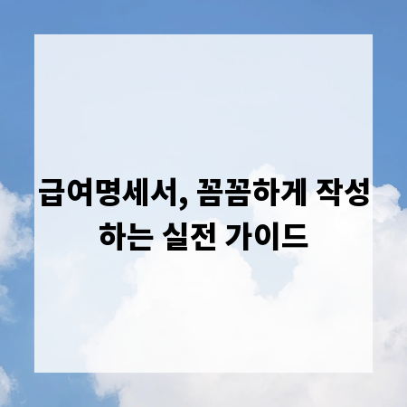 급여명세서, 꼼꼼하게 작성하는 실전 가이드